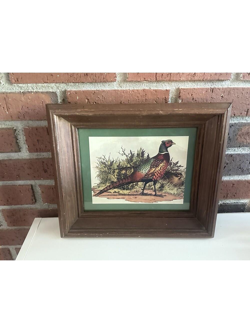 Vintage Homoco Original By Bomar 1273 Ruffed Pheasant Framed Print
